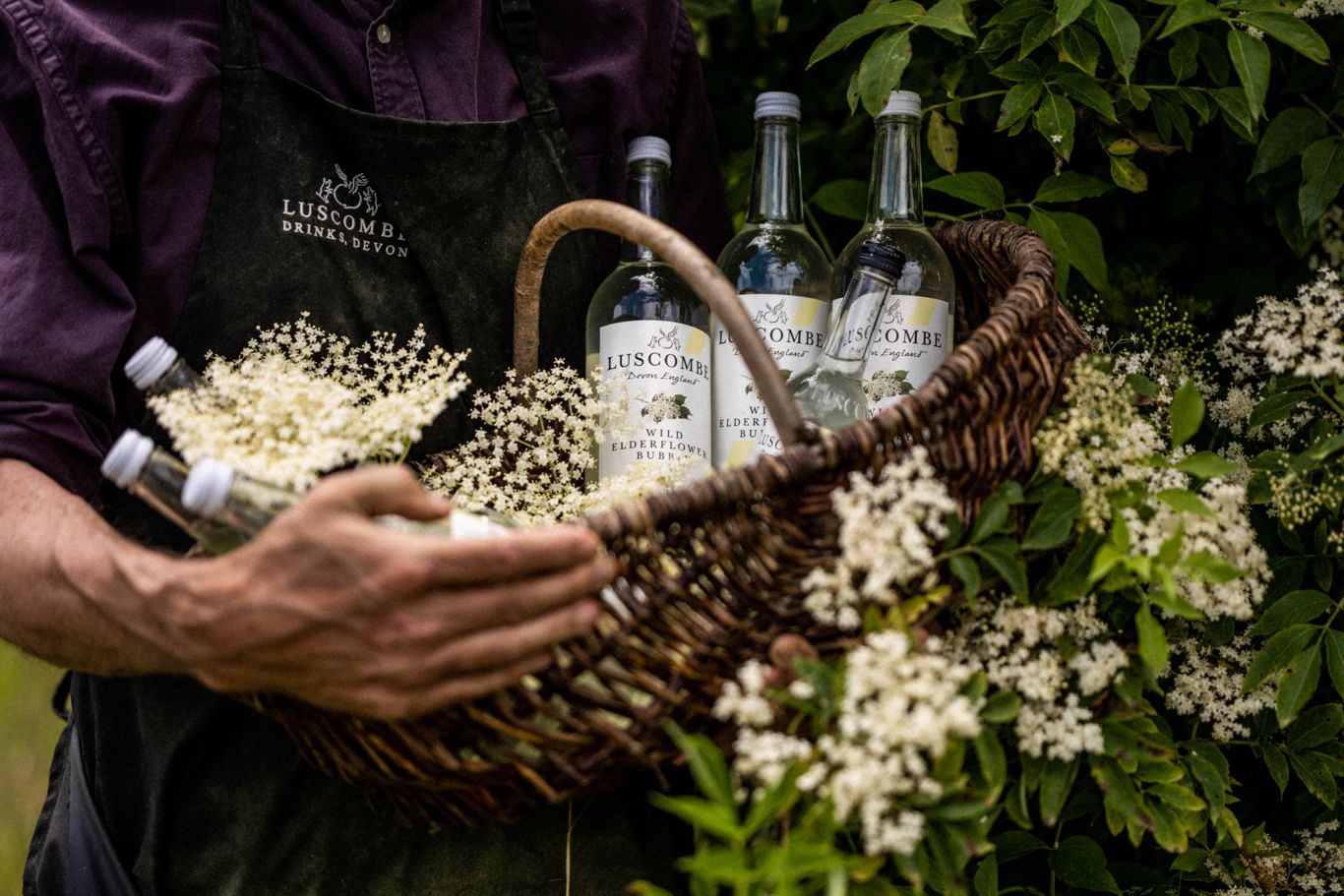 luscombe drinks elderflower 01